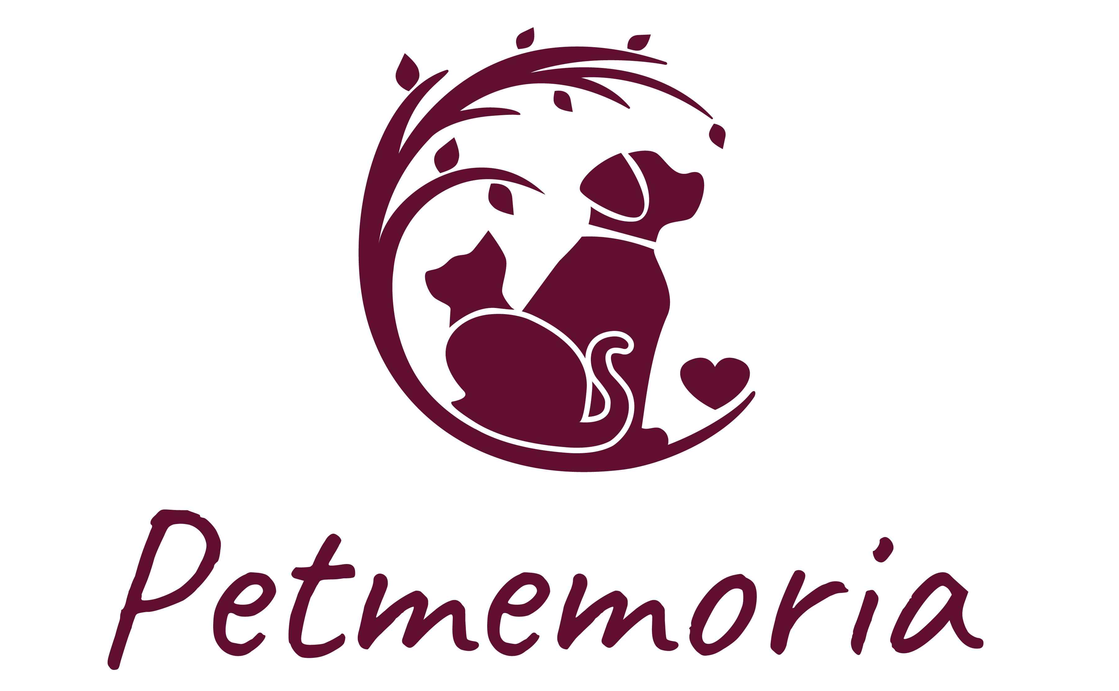 Zur Startseite gehen