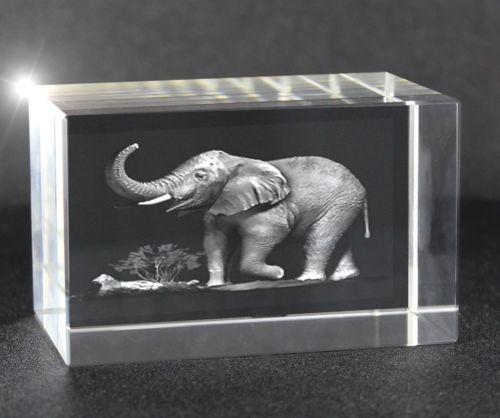 3D Glasquade  Motiv: Elefant