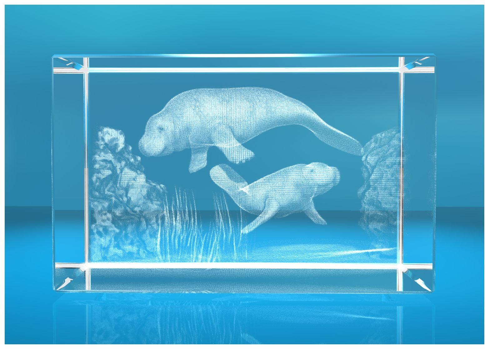 3D Glasquader   Motiv: Seehunde