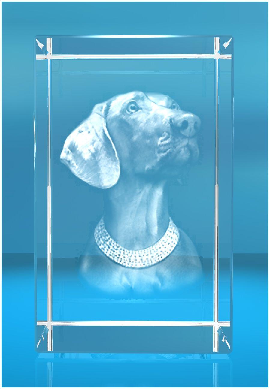 3D Glasquader Motiv: Hund Weimaraner